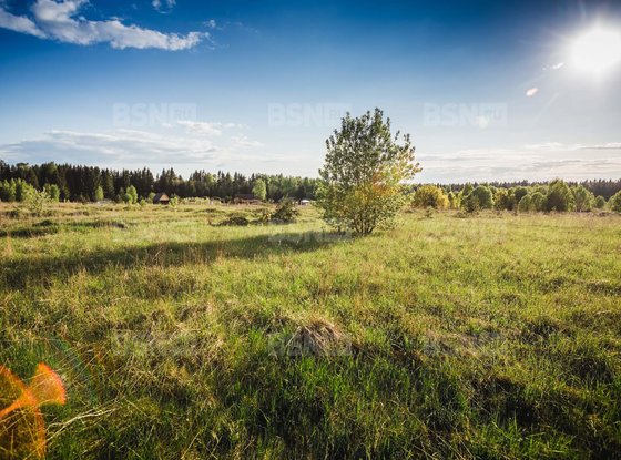 Продажа участка - ДНТ Стремление территория, Березовая аллея