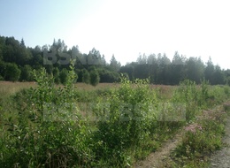 Продажа участка - Ломоносовский район, деревня Горки