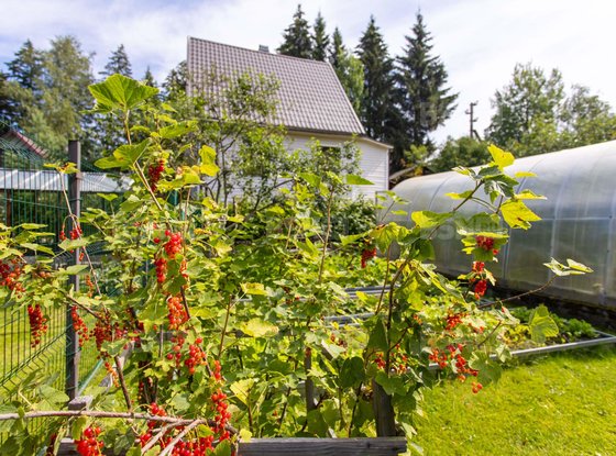Продажа дома - дачный поселок Массив Бойцово, Березовая улица
