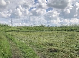 Продажа участка - Россия, Ленинградская область, Гатчинский район, Новая (Елизаветинское с/п) д.