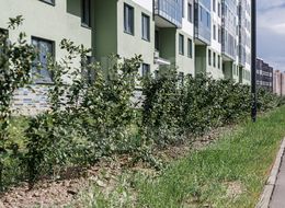 Продажа квартиры студии в новостройке - Ленинградская область, п. Бугры, Гаражный проезд, д. 23, корп. 2 