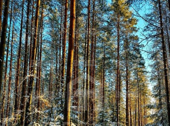 Продажа двухкомнатной квартиры - поселок Кирилловское, Советская улица, д.26 