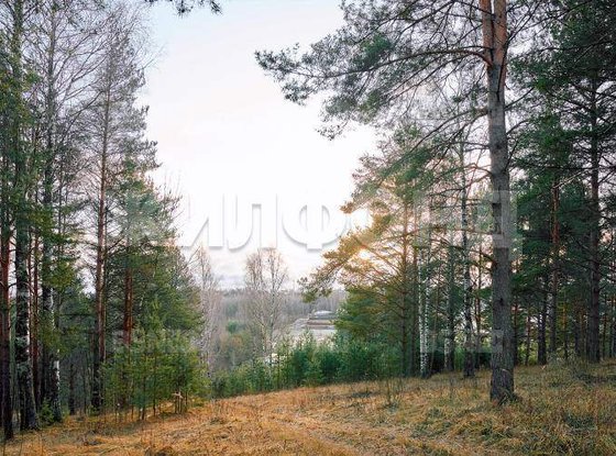 Продажа дома - деревня Мистолово, Главная улица