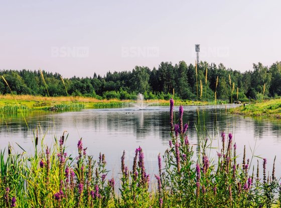 Продажа участка - поселок Ленинское, Репинское кп