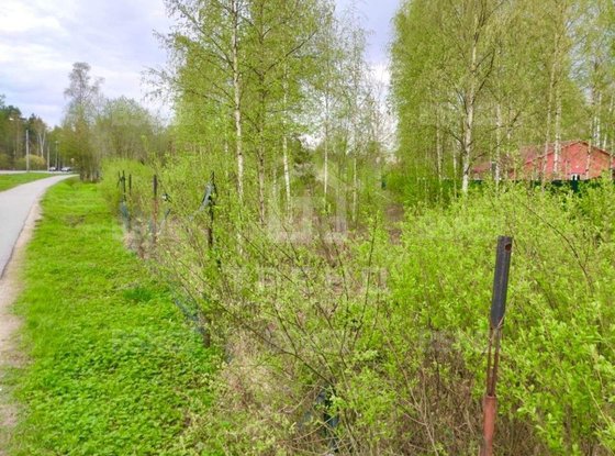 Продажа участка - Зеленогорск, Выборгский переулок