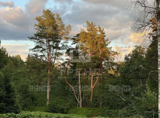 Продажа участка - поселок Солнечное, Солнечное п