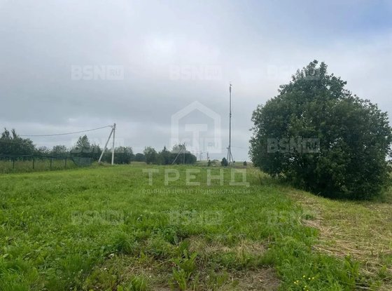 Продажа участка - деревня Яльгелево, Морская улица