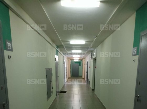 Аренда однокомнатной квартиры - Мурино, Шоссе в Лаврики улица, д.57, корп.1 