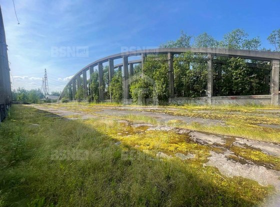 Аренда участка - деревня Новосаратовка, Новосаратовка д
