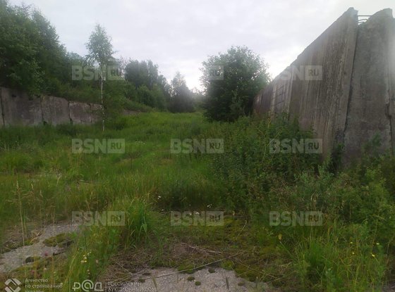 Продажа отдельно стоящего здания - село Алеховщина, Советская улица, д.25, А 