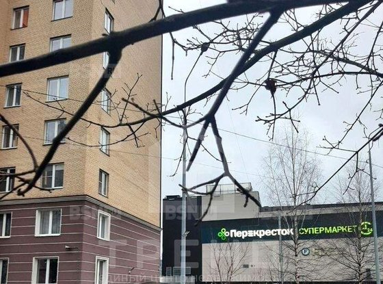 Продажа однокомнатной квартиры - деревня Новое Девяткино, Арсенальная улица, д.2 