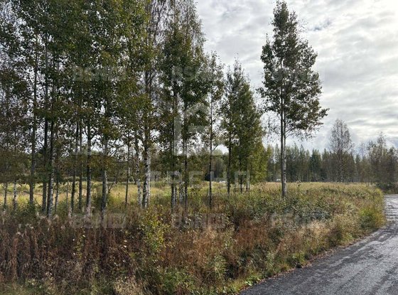 Продажа участка - деревня Никитилово, Никитилово д