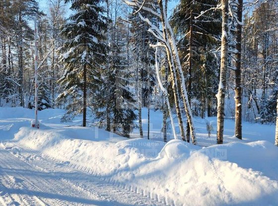 Продажа участка - Ленинградская область