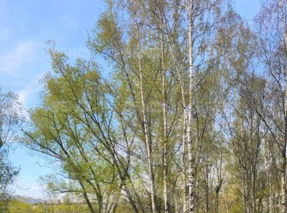 Продажа трехкомнатной квартиры - Белы Куна улица, д.26, корп.2 