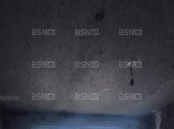 Продажа однокомнатной квартиры - поселок Шушары, Новгородский проспект, д.8 