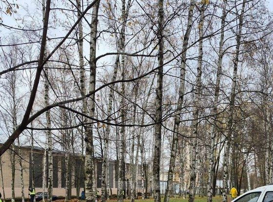 Продажа трехкомнатной квартиры - Космонавтов проспект, д.28, корп.2 