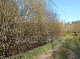 Продажа земельного участка - Ленинградская область, Гатчинский район, Массив Корписалово тер., СТ Пролетарский труд ул. 