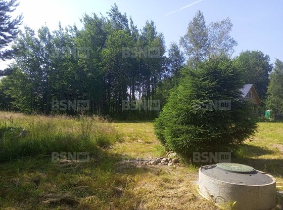 Продажа участка - деревня Светлое, Ленинградская ул