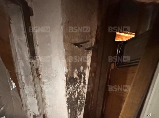 Продажа офиса - Большая Пушкарская улица, д.24, литера А 