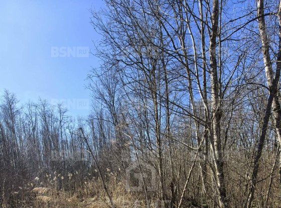 Продажа участка - Ивангород, Госпитальная улица