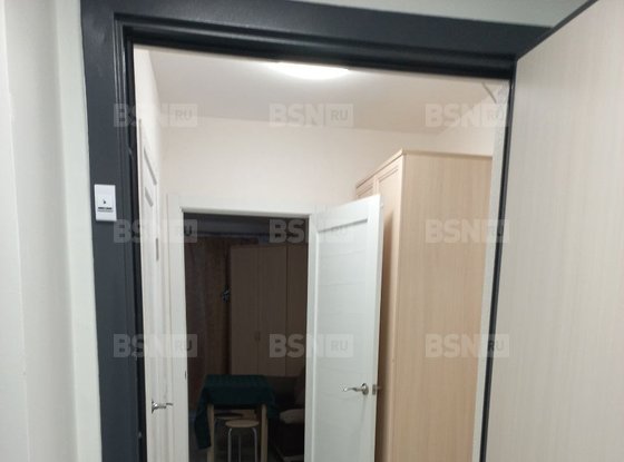 Аренда однокомнатной квартиры - деревня Новосаратовка, Первых улица, д.2, корп.4 