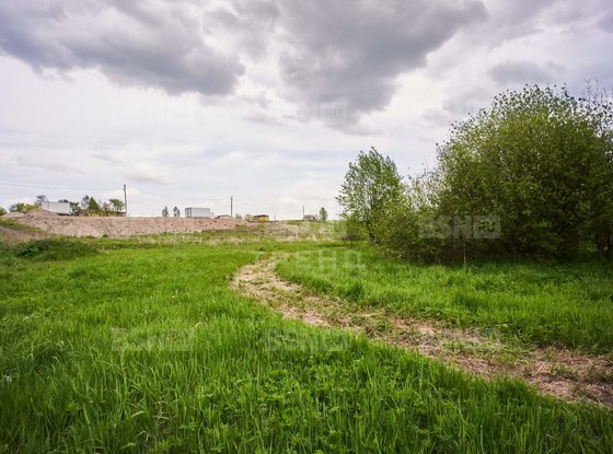 Продажа участка - поселок Петро-Славянка, Лесной проспект