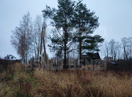 Продажа земельного участка - Ленинградская область, Гатчинский район, Вайя д., Железнодорожная ул. 