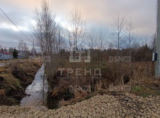 Продажа участка - Ленинградская область, Бригантина-2(Кобрино) территория снт