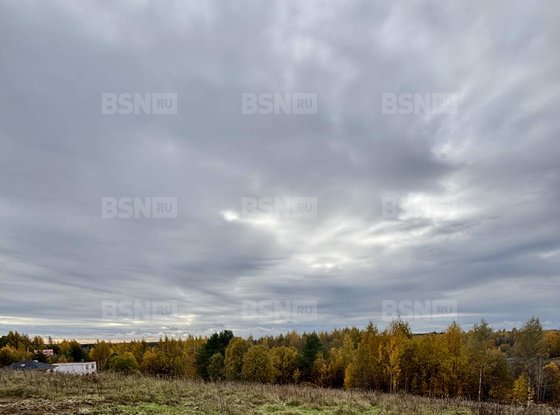 Продажа участка - Всеволожский район, Массив Скотное территория