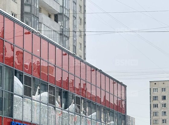 Аренда универсального помещения - Косыгина проспект, д.24, корп.2 