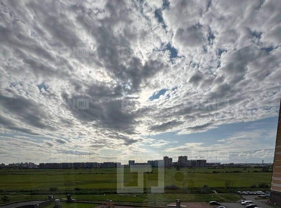 Продажа однокомнатной квартиры - Мурино, Воронцовский бульвар, д.17 