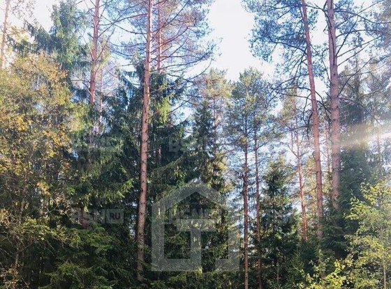 Продажа участка - поселок Солнечное, Солнечное п