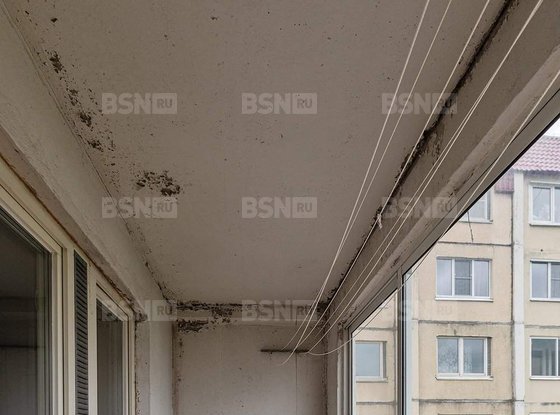 Продажа трехкомнатной квартиры - Просвещения проспект, д.50 