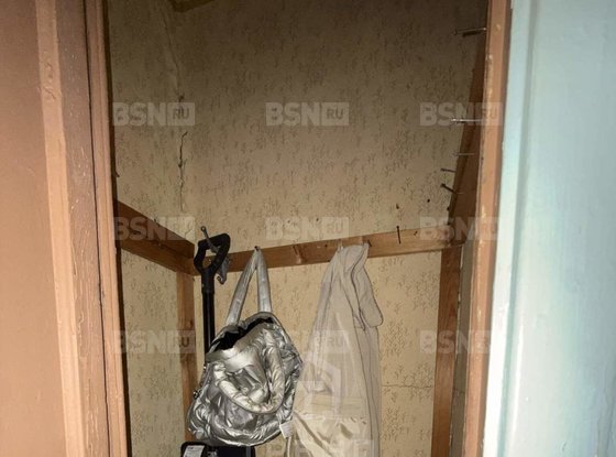 Продажа двухкомнатной квартиры - городской поселок Янино-1, Новая улица, д.3 