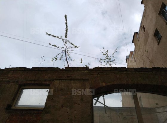 Продажа офиса - Садовая улица, д.66, литера Б 