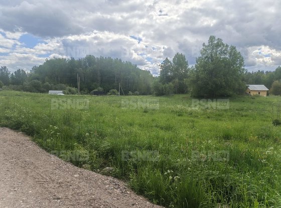 Продажа участка - деревня Хвойное, Хвойное д