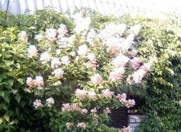 Продажа земельного участка - Ленинградская область, Ломоносовский район, Пески тер. СНТ, 13-я линия ул. 