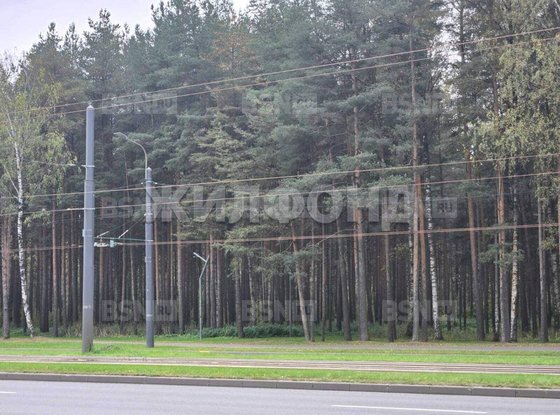 Продажа четырехкомнатной квартиры - Тихорецкий проспект, д.35 