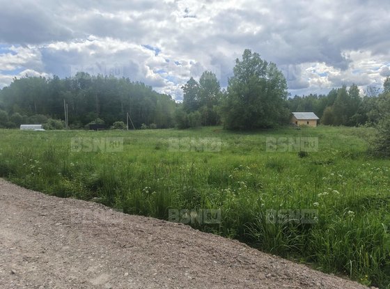 Продажа участка - деревня Хвойное, Хвойное д