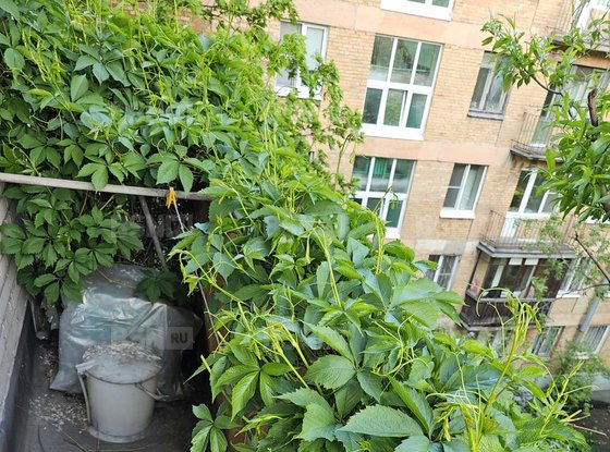 Продажа трехкомнатной квартиры - Стачек проспект, д.122, литера А 