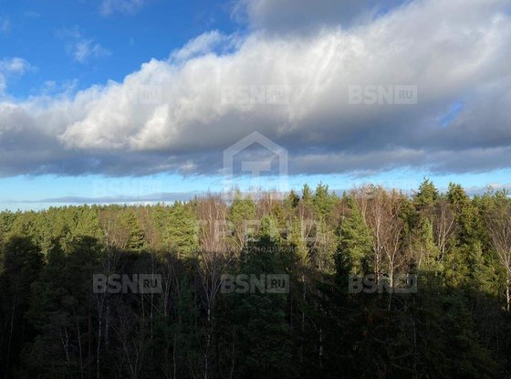 Продажа двухкомнатной квартиры - Ломоносов, Михайловская улица, д.51 