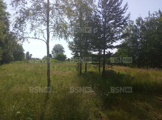 Продажа участка - деревня Светлое, Ленинградская ул