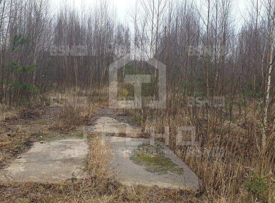 Продажа участка - Сосновый Бор