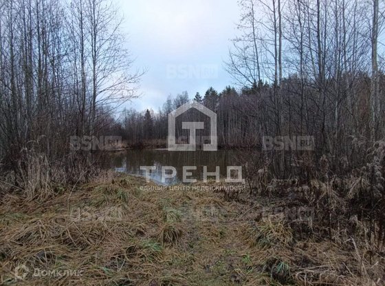 Продажа участка - Ленинградская область, Бригантина-2(Кобрино) территория снт