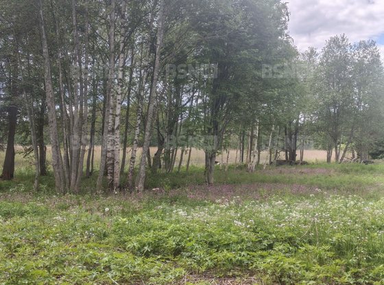Продажа участка - поселок Быково, Быково п