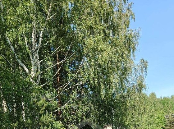 Продажа участка - деревня Порошкино, Тверская улица