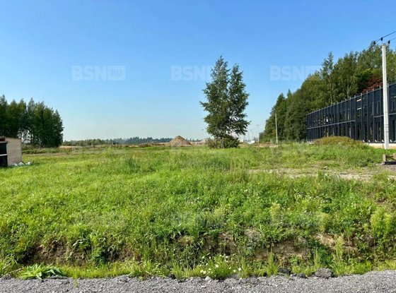 Продажа участка - Всеволожский район, Массив Скотное территория
