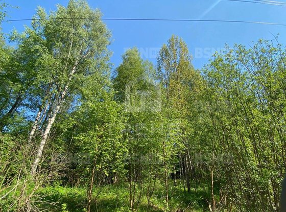 Продажа участка - деревня Никитилово, Никитилово д