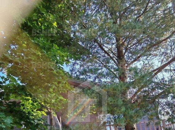 Продажа дома - деревня Мистолово, Нижняя улица, д.14, Б