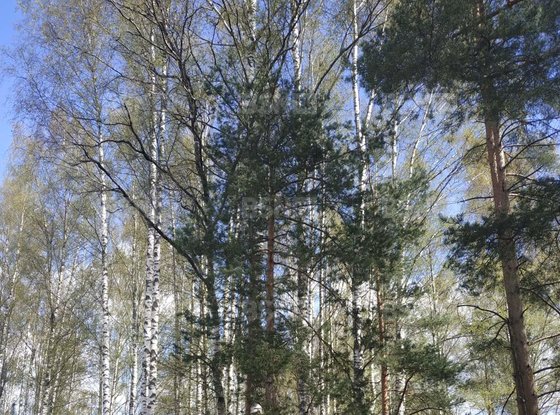 Продажа дома - городской поселок Вырица, Октябрьская улица